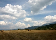 LOL决赛-努涅斯之刃，2026世界杯C组焦点战，奥地利如何以战术纪律压制沙特