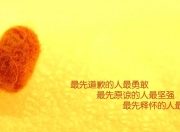 -四分钟的暗涌，从厄瓜多尔的铁幕到三笘薰的致命弧线—2026世界杯A组唯一性的战术解构