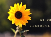 -安第斯山麓的闪电，罗德里戈用一脚重炮，击碎委内瑞拉与玻利维亚的百年鏖战