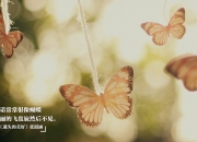 英雄联盟总决赛2025-篮球架倒下时，最瘦的人站在中间