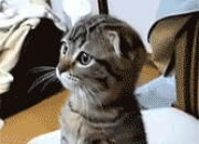 英雄联盟总决赛2025-青春风暴的叹息，76人淘汰鹈鹕，德罗赞书写关键先生注脚