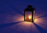 LOL赛事-武切维奇西决生死战逆天改命，雄鹿横扫阴影成最强催化剂