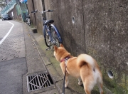 英雄联盟总决赛赛程-跨越大洋的王者血脉，当米切尔爵士踏过步行者，欧文已在英超争冠战场接管比赛