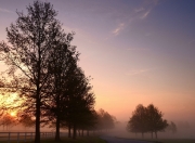 -奥运周期关键战，辽宁铁骑全面压制，篮网折戟中国赛场