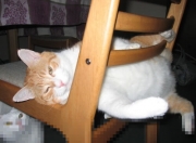 英雄联盟总决赛直播-英雄与罪人，若日尼奥背叛意大利后的自我救赎终场哨响前35秒，若日尼奥的绝命点球与跨越洲际的救赎