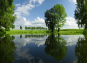 LOL赛事-战术镜像，当库里时刻遭遇广厦铁壁，东方智慧如何解构美式英雄？