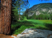 英雄联盟总决赛2025-鹈鹕啄破唯一，东契奇终结假设