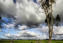 英雄联盟总决赛2025-奥地利队鏖战波兰队，马龙状态火热