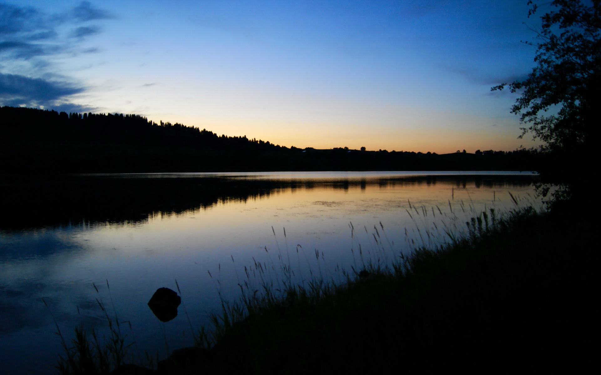 2026世界杯焦点战,尼克斯力克凯尔特人—全息科技如何改写体育记忆?