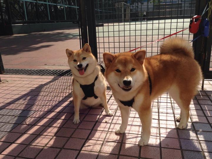 璀璨星夜唯一主宰,布克封神之战诠释何为全场最佳无争议