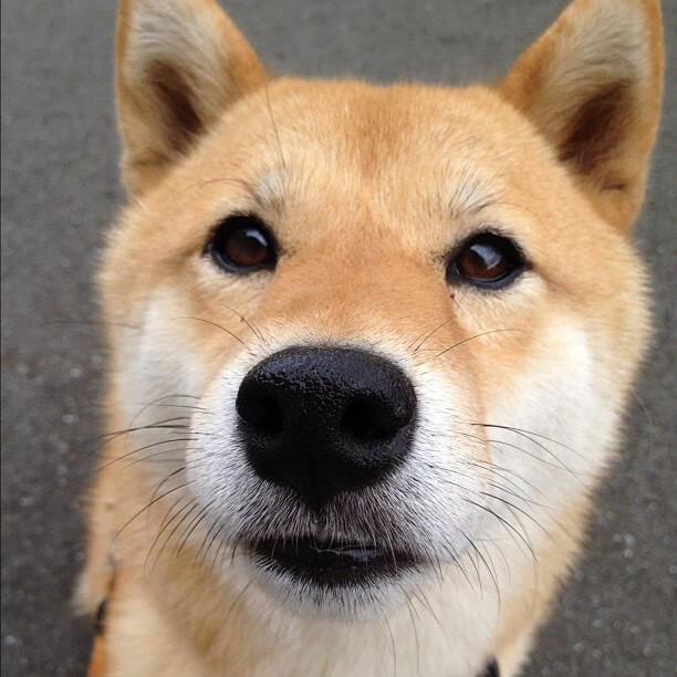 关键先生与季后赛门槛，保罗的末节15分如何杀死步行者？