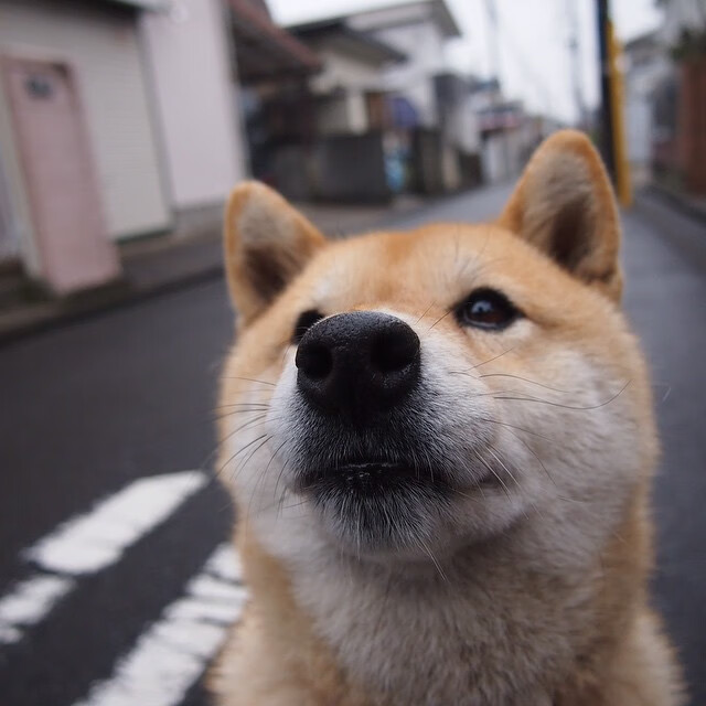 体育的黎明,两个赛场,同一种征服