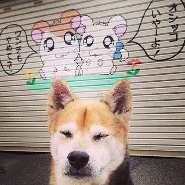 绿茵篮火,深圳队跨时空绝杀记