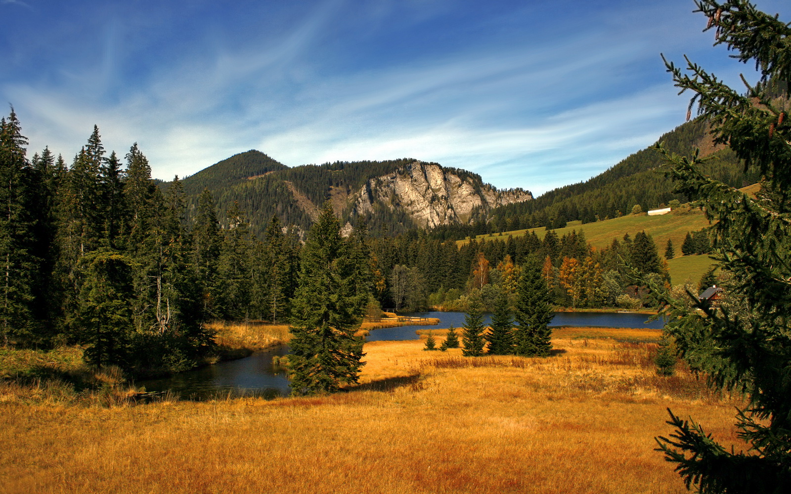 F1新赛季揭幕战，阿尔及利亚与新西兰的巅峰对决，唯一性的赛车史诗
