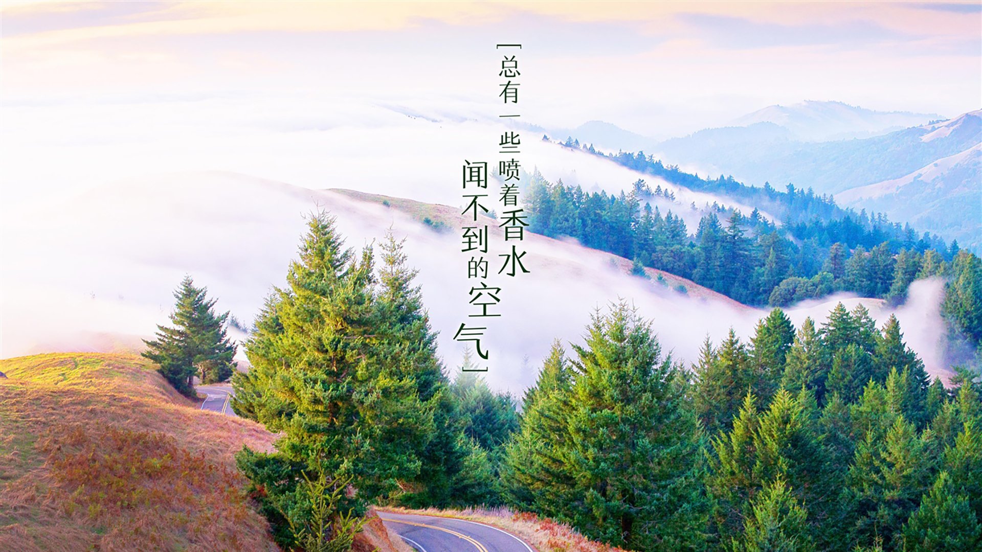 加纳风暴席卷美洲劲旅，2026世界杯小组赛，内马尔独舞点燃进攻狂潮