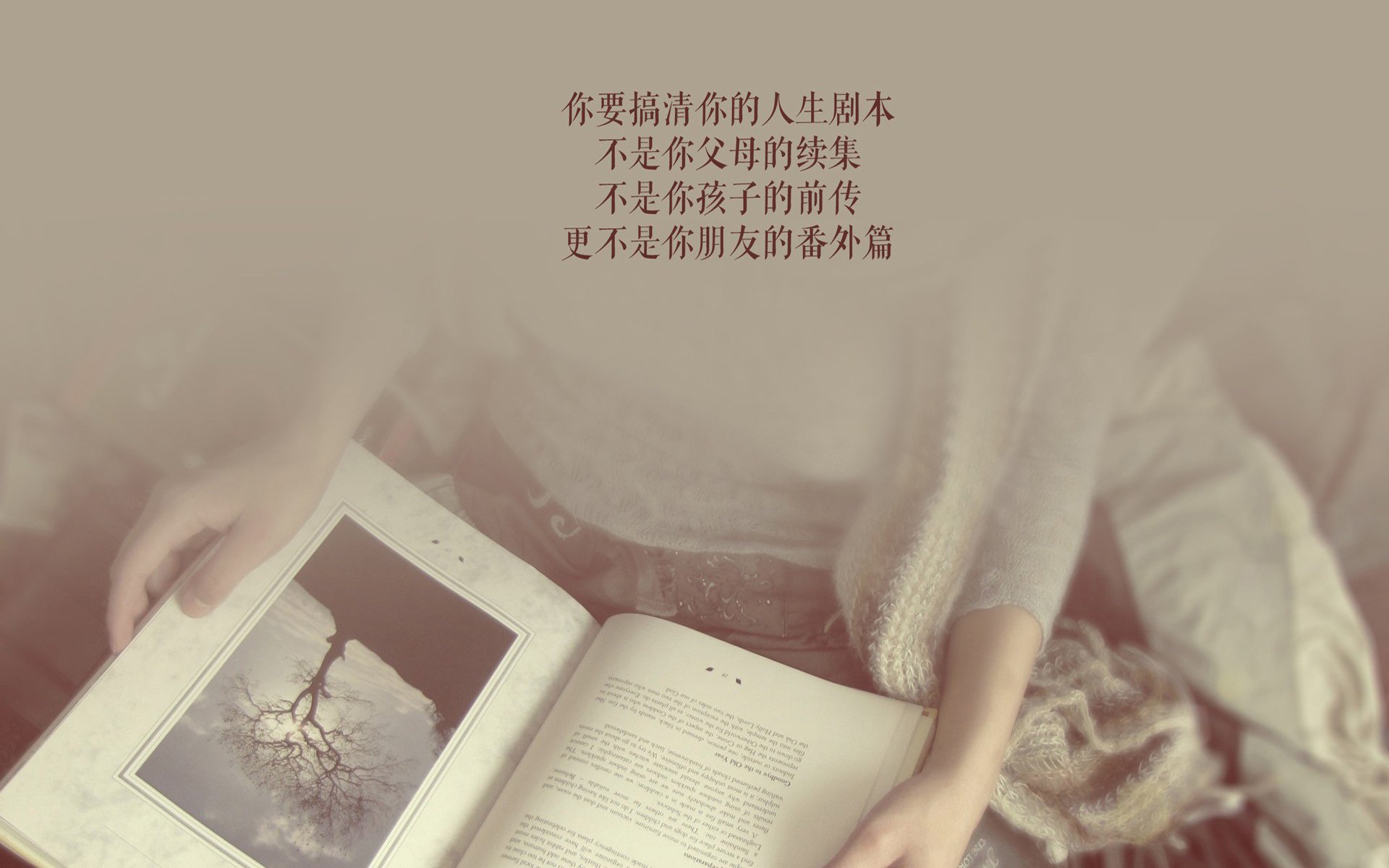 绿茵颠覆者，当越南改写世界杯剧本，穆西亚拉在美加墨写下新传奇