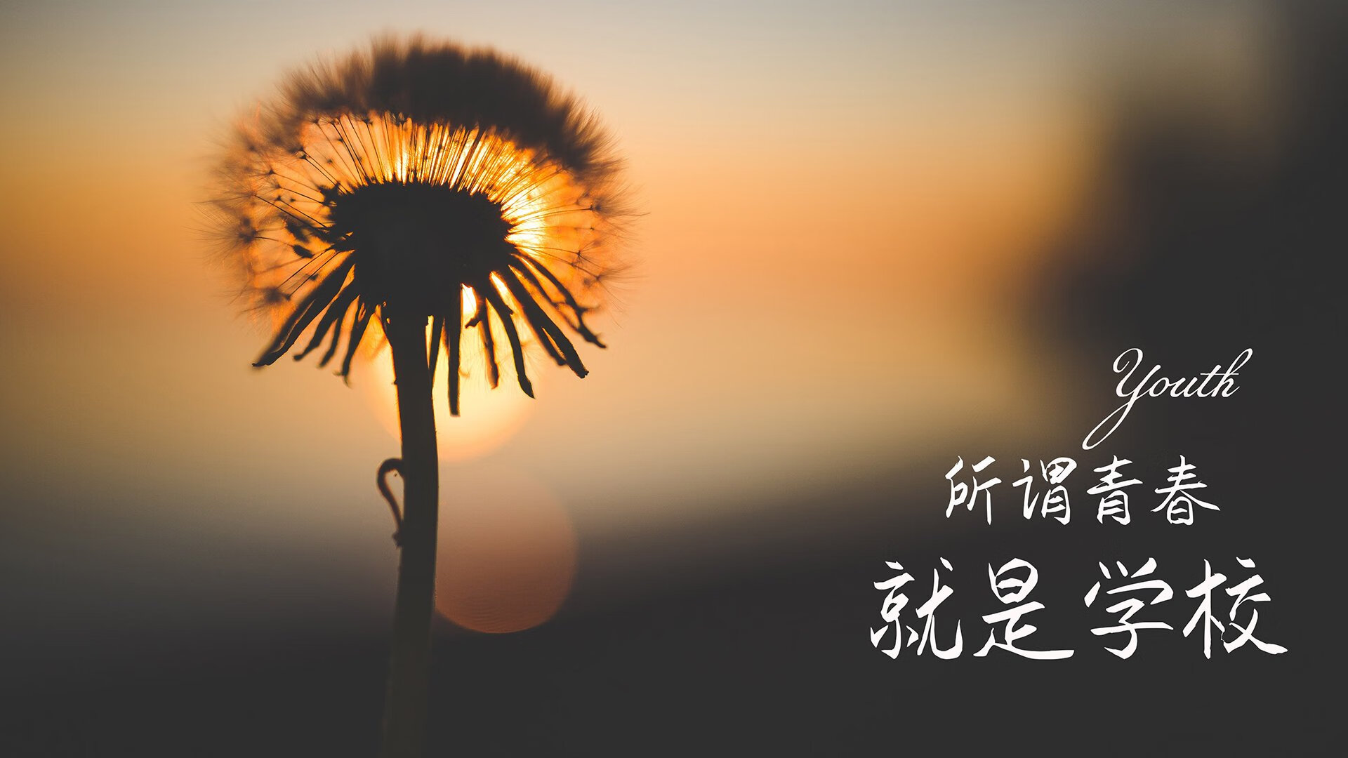 血色的救赎,2026世界杯复仇之战,奥地利用铁血节奏碾碎波斯铁骑