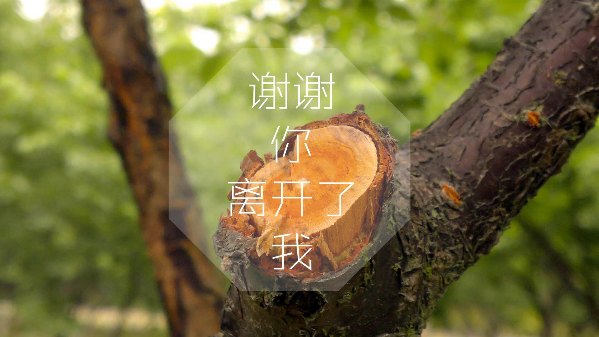 沙漠风暴,2026世界杯D组,阿联酋如何用足球哲学碾压美国,迪亚斯致命一击书写新传奇